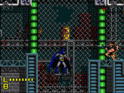 batman revenge of the joker