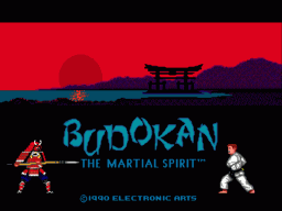 Budokan - the martial spirit